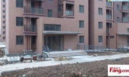 桃源新建筑爆料视频播放,揭秘视频中的未来都市风采